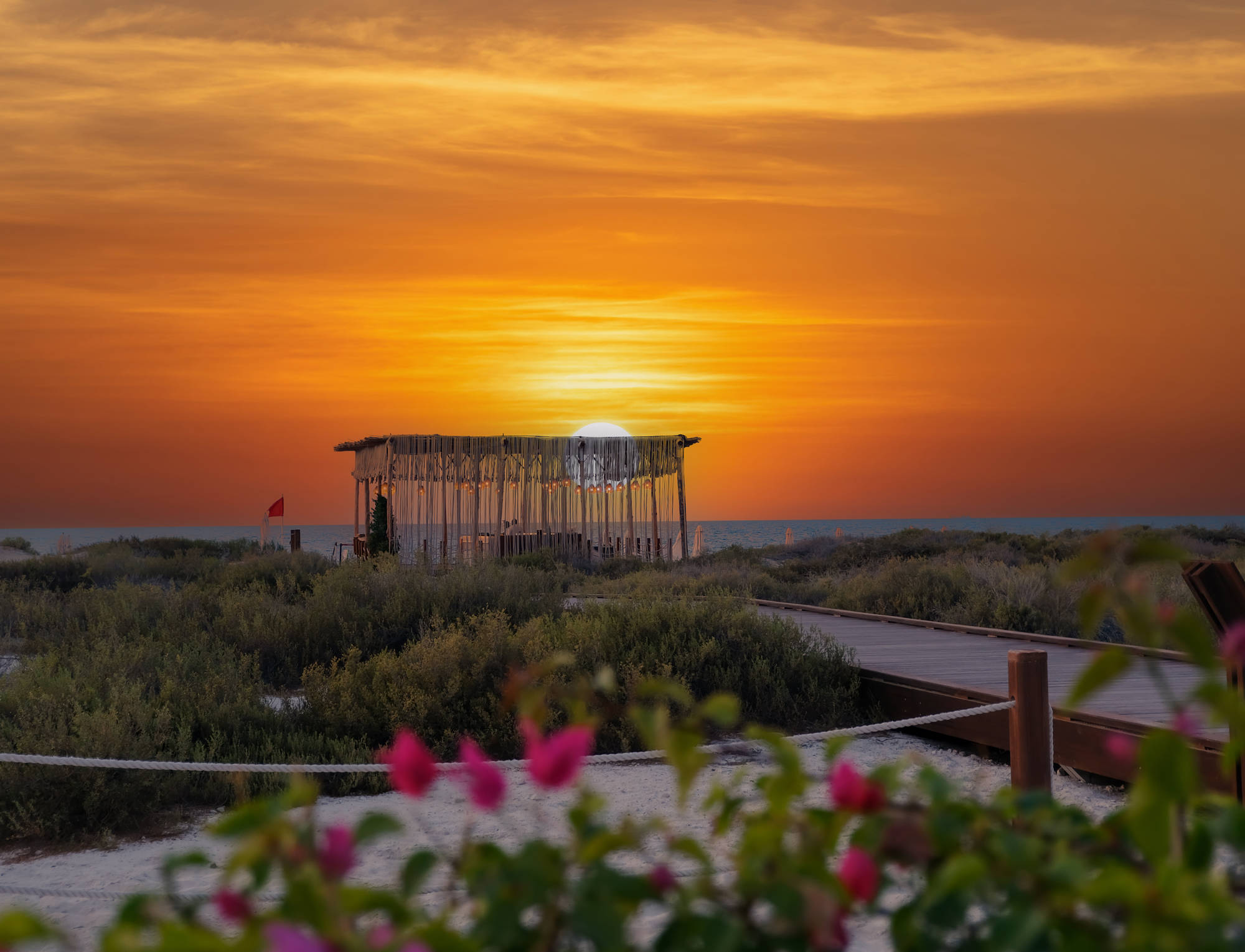 Vibrant orange sunset at Saadiyat Beach Club, flowers in the foreground, a cabana, and a backdrop of the Aegean Sea.